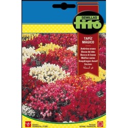 antirrino enano tapiz mÃ¡gico