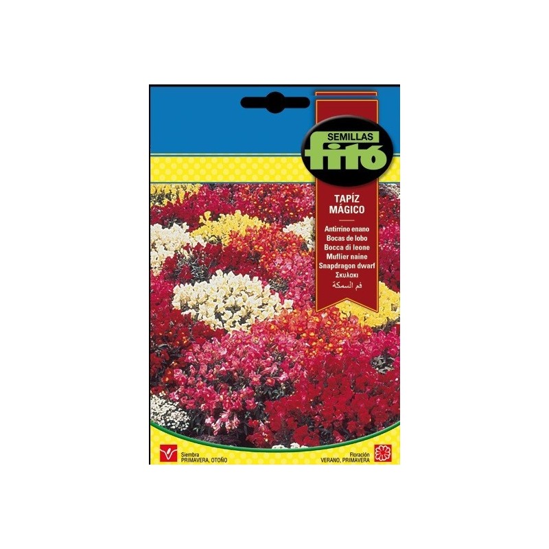 antirrino enano tapiz mÃ¡gico