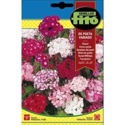 Clavel de Poeta Variado