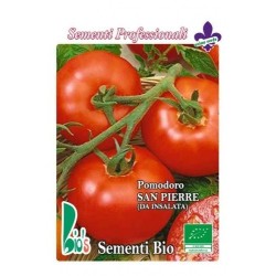 tomate san pierre (semillas ecolÃ³gicas)