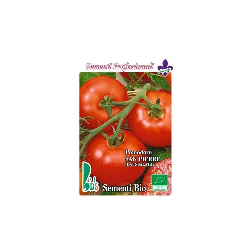 tomate san pierre (semillas ecolÃ³gicas)