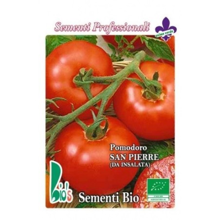 tomate san pierre (semillas ecolÃ³gicas)