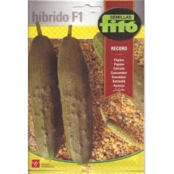 pepino record hÃ­drido f1