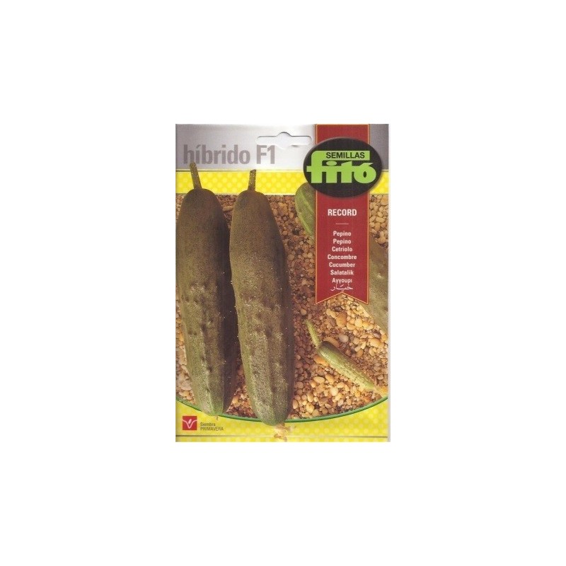 pepino record hÃ­drido f1