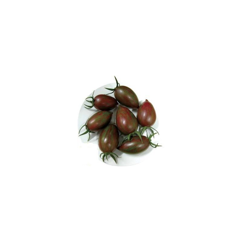 semillas de tomate cherry cebra purpura F1