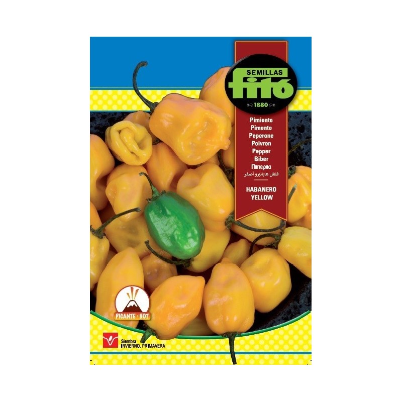 pimiento habanero yellow