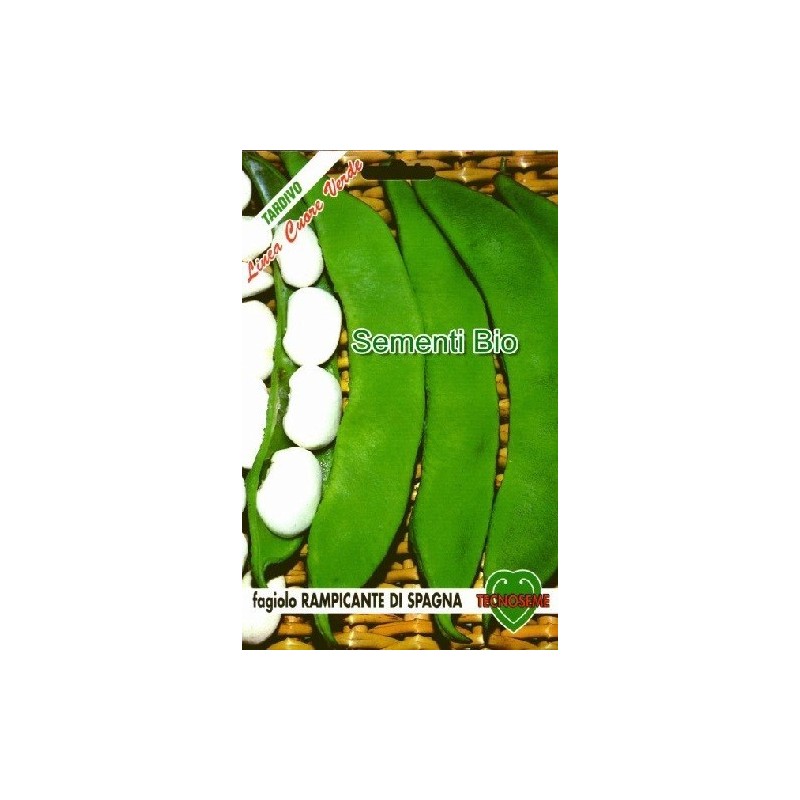 Judia de enrame de EspaÃ±a - semillas ecolÃ³gicas