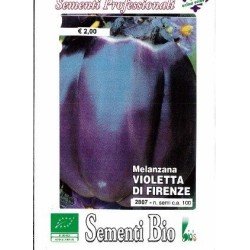 berenjena violeta de Florencia - semillas ecologicas