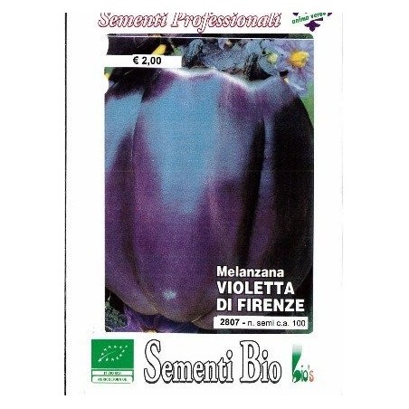 berenjena violeta de Florencia - semillas ecologicas