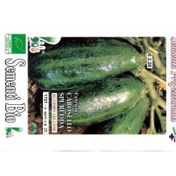 pepino carosello spuredda de Lecce - semillas ecolÃ³gicas