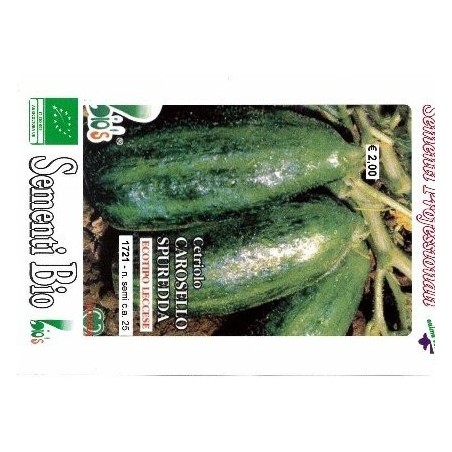 pepino carosello spuredda de Lecce - semillas ecolÃ³gicas