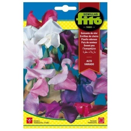 guisante de olor alto variado