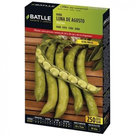 haba luna de agosto - extra precoz