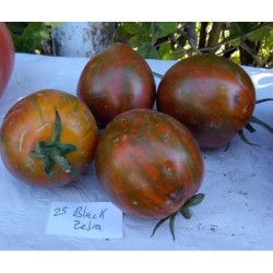 Tomate black zebra - semillas no tratadas