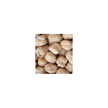 garbanzo pedrosillano - semillas ecolÃ³gicas