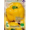 pimiento amarillo cuadrado (semillas ecolÃ³gicas)