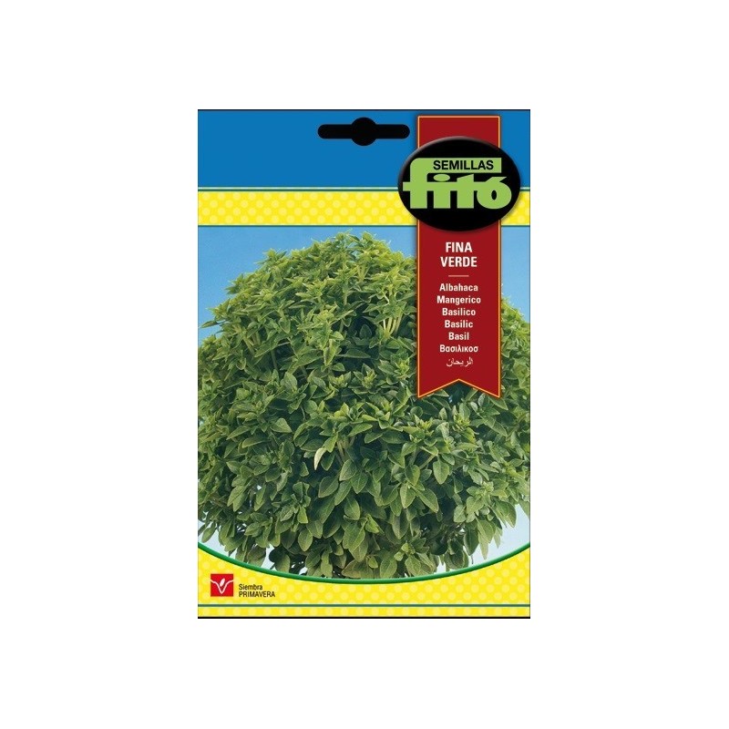 albahaca de hoja fina - semillas FitÃ³