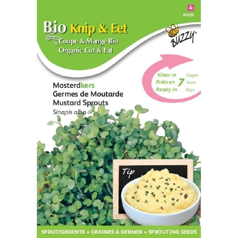 brotes de mostaza blanca ecolÃ³gicos