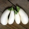berenjena huevos blancos - semillas no tratadas