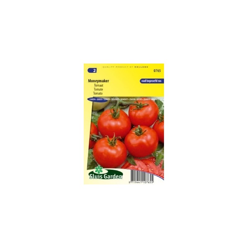 tomate moneymaker