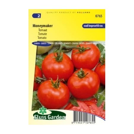 tomate moneymaker