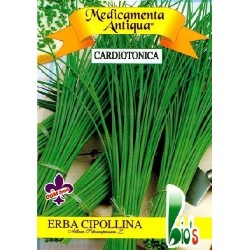 cebollino - Allium schoenoprasum - (semillas ecolÃ³gicas)