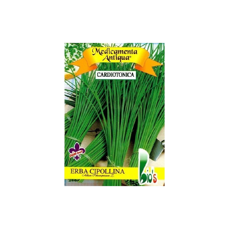 cebollino - Allium schoenoprasum - (semillas ecolÃ³gicas)