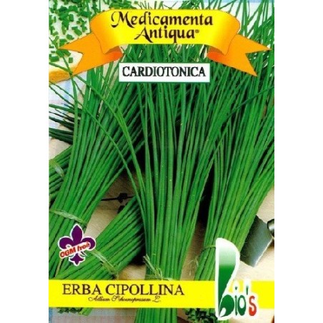 cebollino - Allium schoenoprasum - (semillas ecolÃ³gicas)