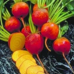 remolacha golden (semillas ecolÃ³gicas)