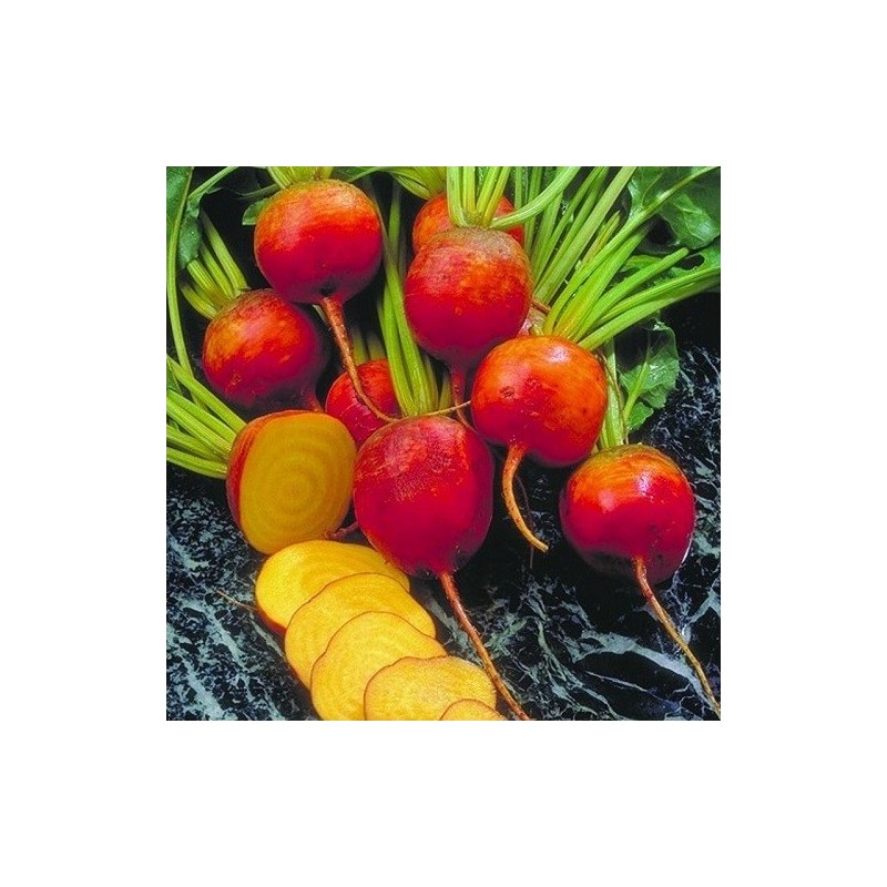 remolacha golden (semillas ecolÃ³gicas)