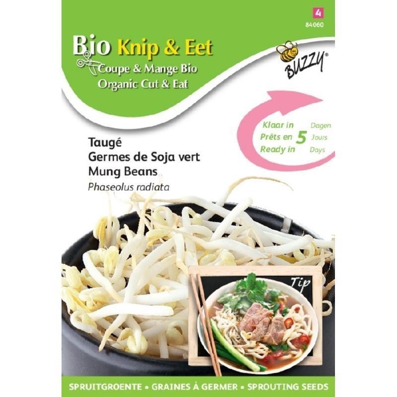 semillas de soja para germinados - judia mungo