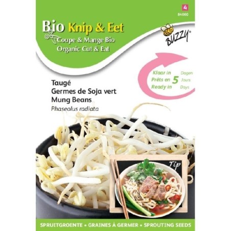 semillas de soja para germinados - judia mungo