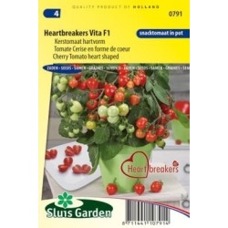 tomate Heartbreaker Vita F1