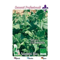 espinaca tetragonia - semillas ecolÃ³gicas