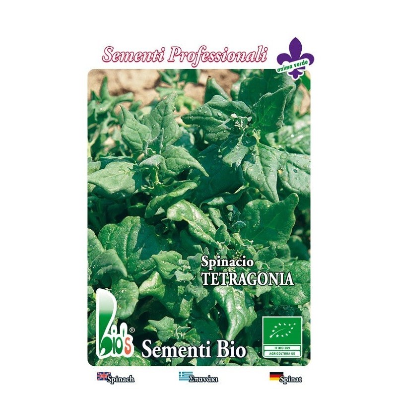 espinaca tetragonia - semillas ecolÃ³gicas