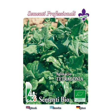espinaca tetragonia - semillas ecolÃ³gicas