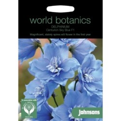 delphinium sky blue F1