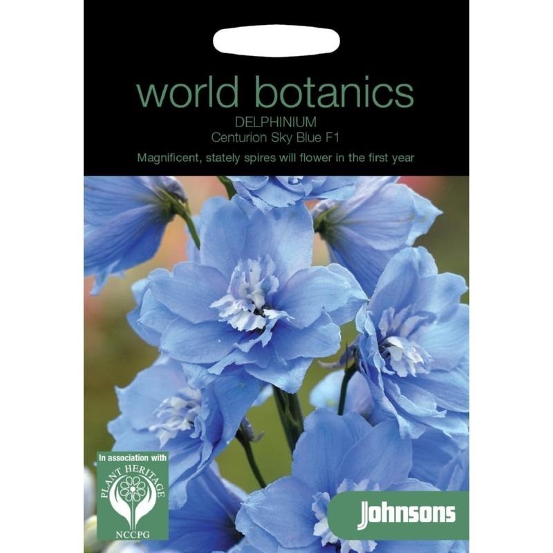 delphinium sky blue F1