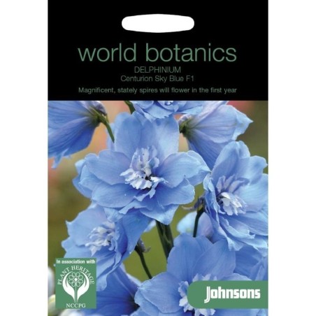 delphinium sky blue F1