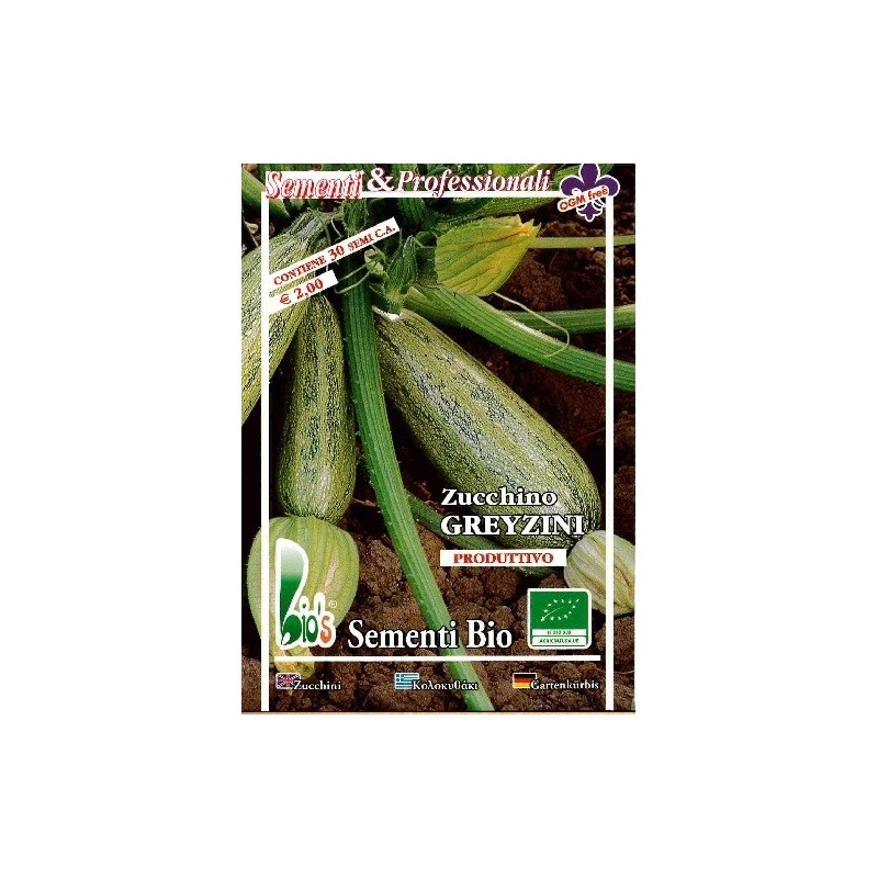 calabacin greyzini - semillas ecolÃ³gicas