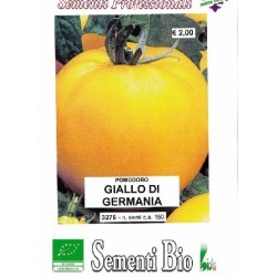 tomate amarillo de Alemania - golden boy (semillas ecolÃ³gicas)