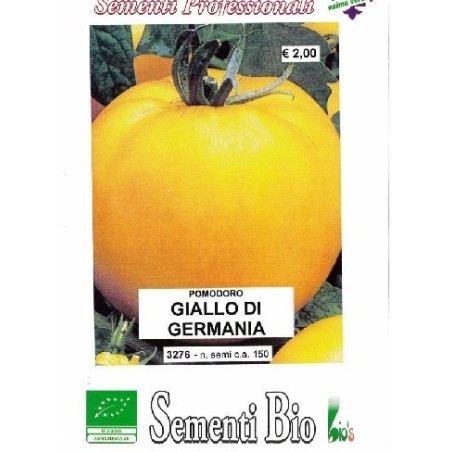 tomate amarillo de Alemania - golden boy (semillas ecolÃ³gicas)