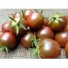 tomate cereza negra (semillas ecolÃ³gicas)
