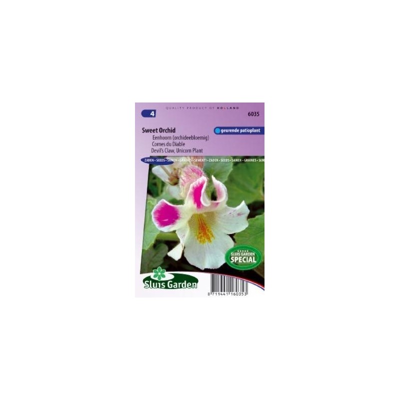 garras del diablo  (Proboscidea lousianica)