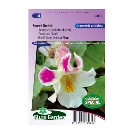 garras del diablo  (Proboscidea lousianica)