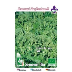 brocoli rapa quarantina - semillas ecologicas