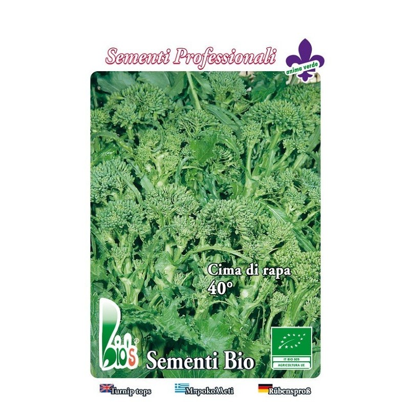 brocoli rapa quarantina - semillas ecologicas
