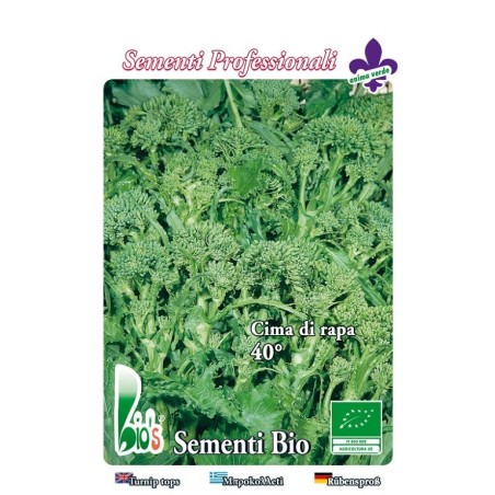 brocoli rapa quarantina - semillas ecologicas