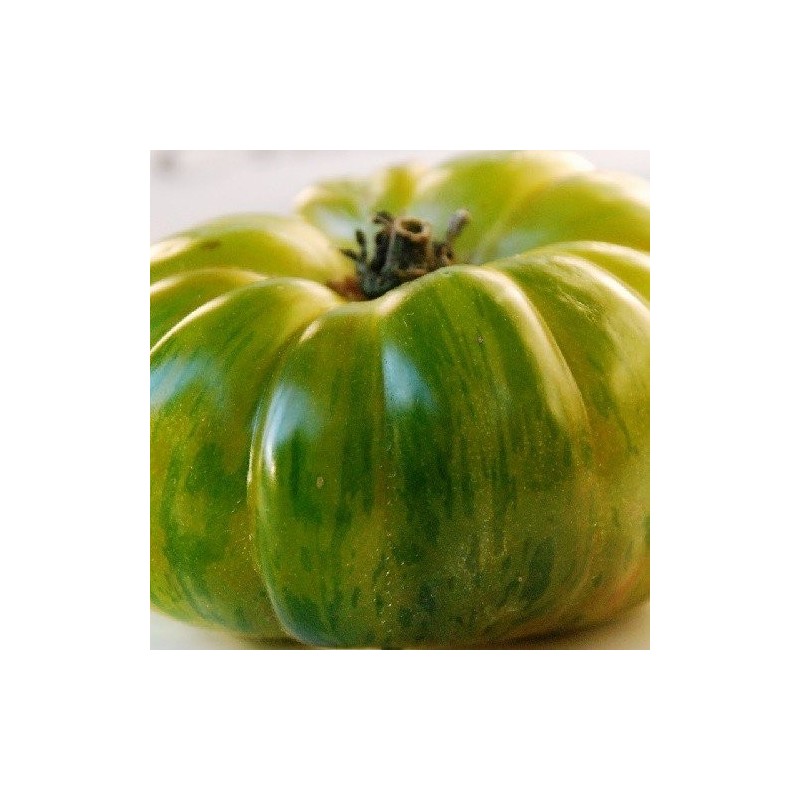 tomate charlie green (Semillas no tratadas)