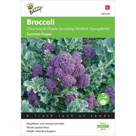 brocoli morado summer purple